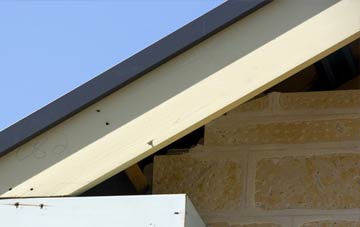 Carrickfergus fascia repairs