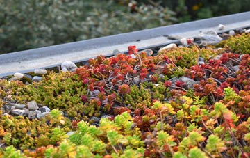 the cost of Carrickfergus green roof installation