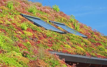 Carrickfergus living roof systems