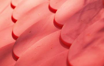 Carrickfergus plastic roof costs