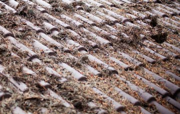 Carrickfergus roof cleaning companies