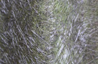 Carrickfergus fibreglass roof work