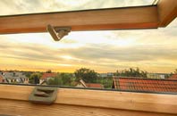 rated Carrickfergus roof window companies